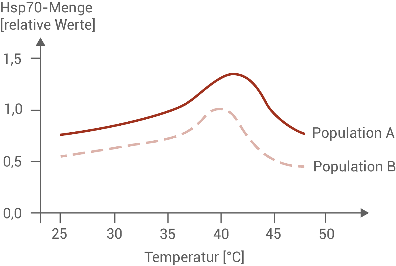 Wirkung verschiedener Temperaturen auf die Hsp70-Menge