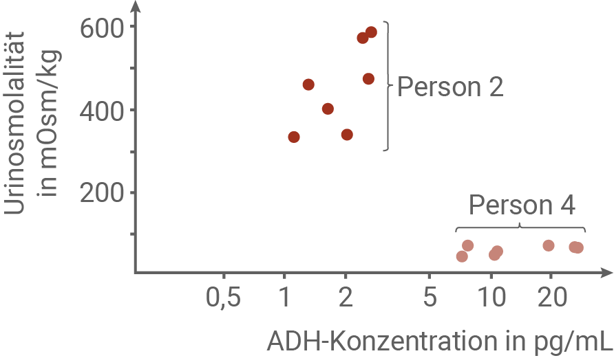 Scatterplot zur Darstellung von Urinosmolarität und ADH-Konzentration bei verschiedenen Personen.
