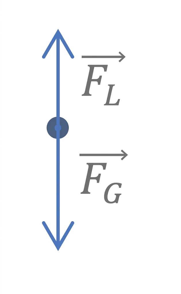 Vertikale Stange mit Kreis und Auf-/Abwärtspfeilen; rechts zwei horizontale Pfeile mit Beschriftung F_L und F_G