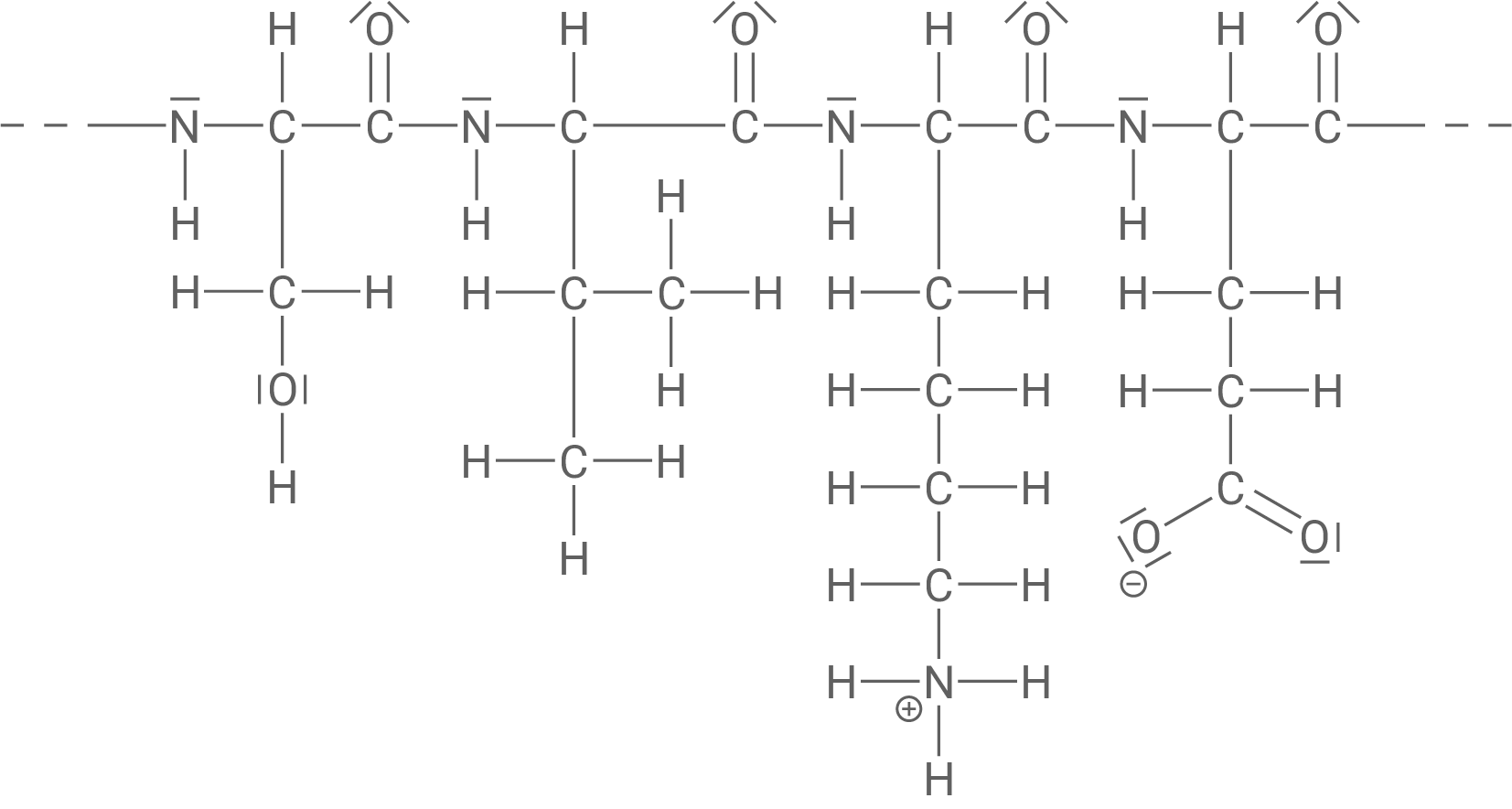 Strukturformelausschnitt Protein