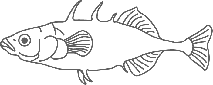 Stichling