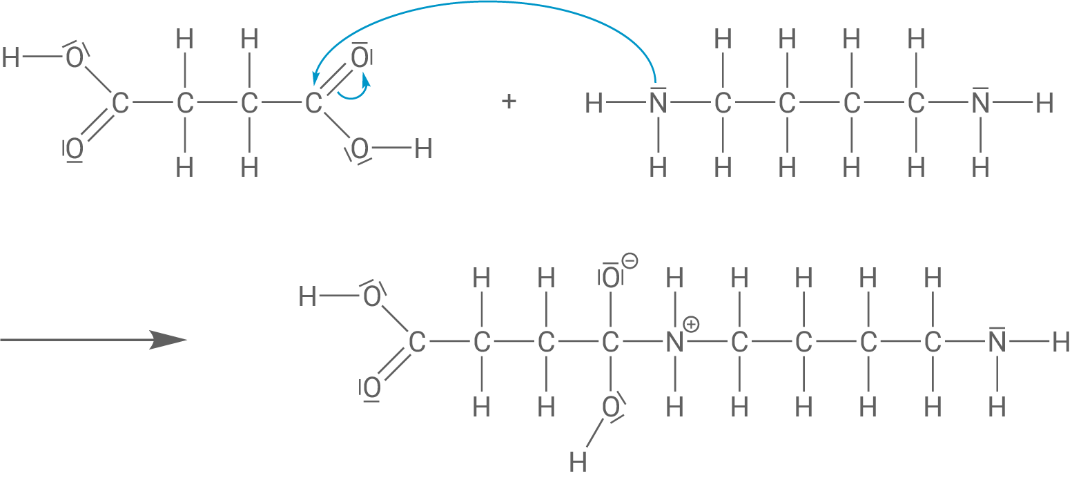 Polyamid aus Butan-1,4-disäure und Butan-1,4-diamin Schritt 1 nucleophiler Angriff
