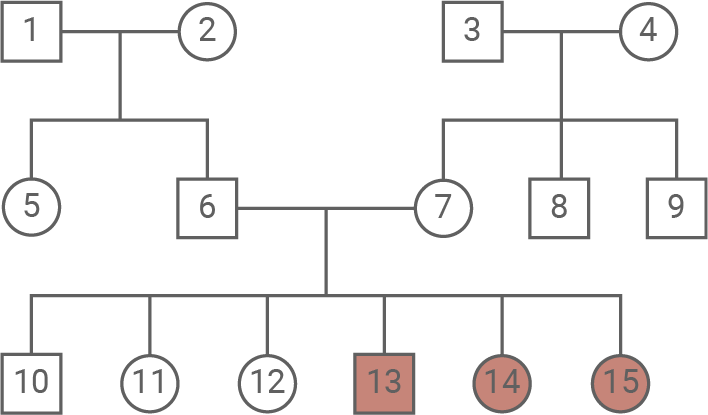 Stammbaum-Diagramm mit nummerierten Kreisen und Quadraten von 1–15; Knoten 13–15 hervorgehoben.