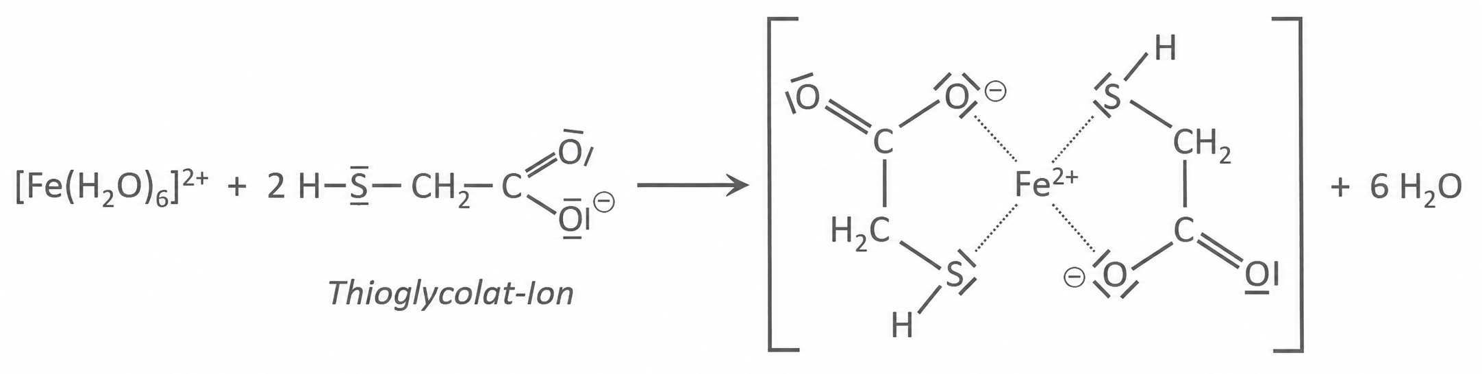 Chemische Strukturformel einer Eisen-Thioglycolat-Komplexreaktion
