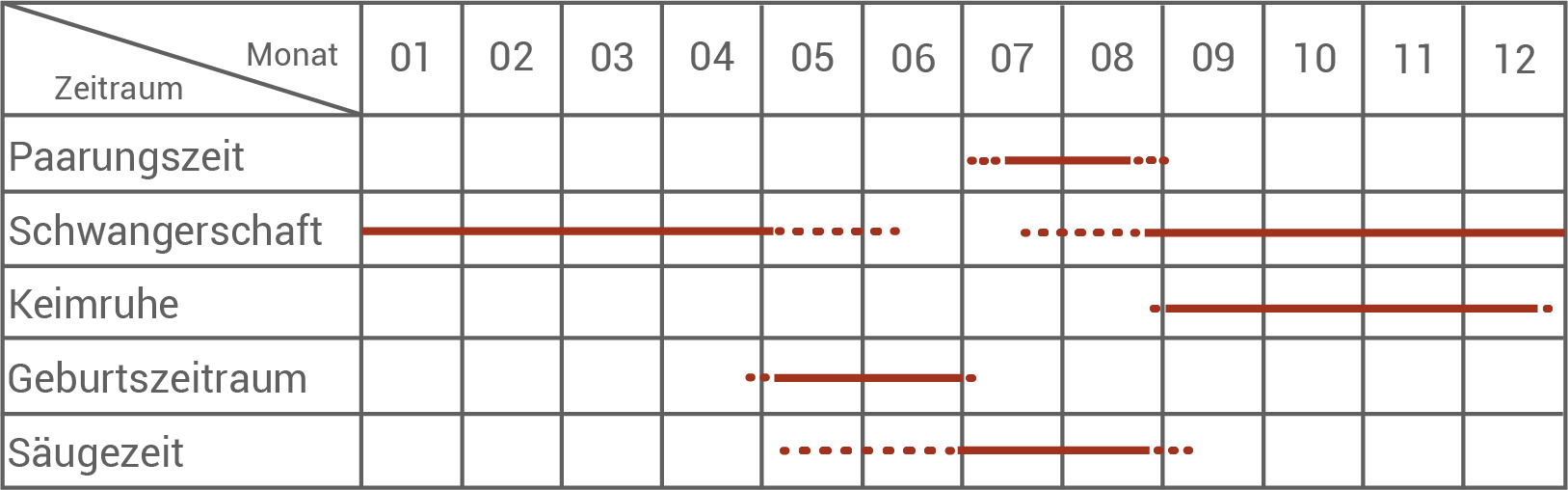Diagramm zur Darstellung von Fortpflanzungs- und Entwicklungszyklen über zwölf Monate.