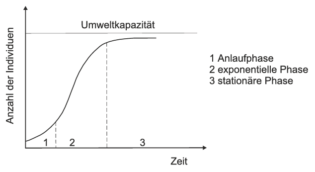 S-förmige Populationskurve über Zeit mit Anlauf-, exponentieller und stationärer Phase; Umweltkapazität oben markiert.