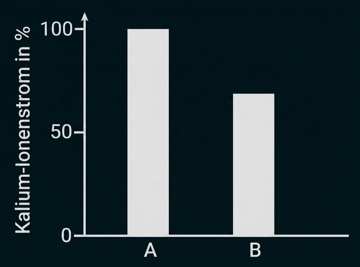 Balkendiagramm mit zwei Balken: A bei 100%, B etwa 70% (Kalium-Ionenstrom in %).