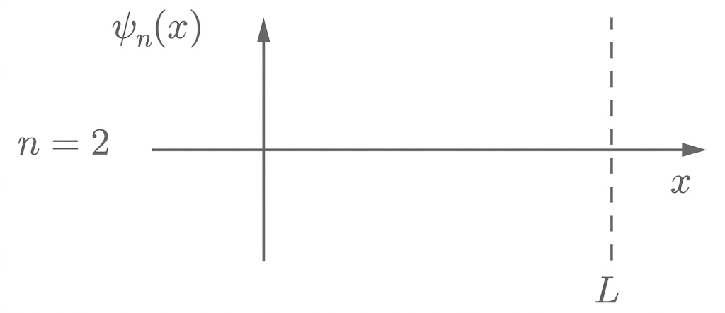 Koordinatensystem mit ψ_n(x), n=2, x‑Achse und gestrichelter Linie bei x=L