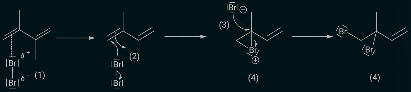 Bromaddition an Alken mit Bromonium-Ion-Zwischenstufe und anti-Addition zum vicinalen Dibromid.