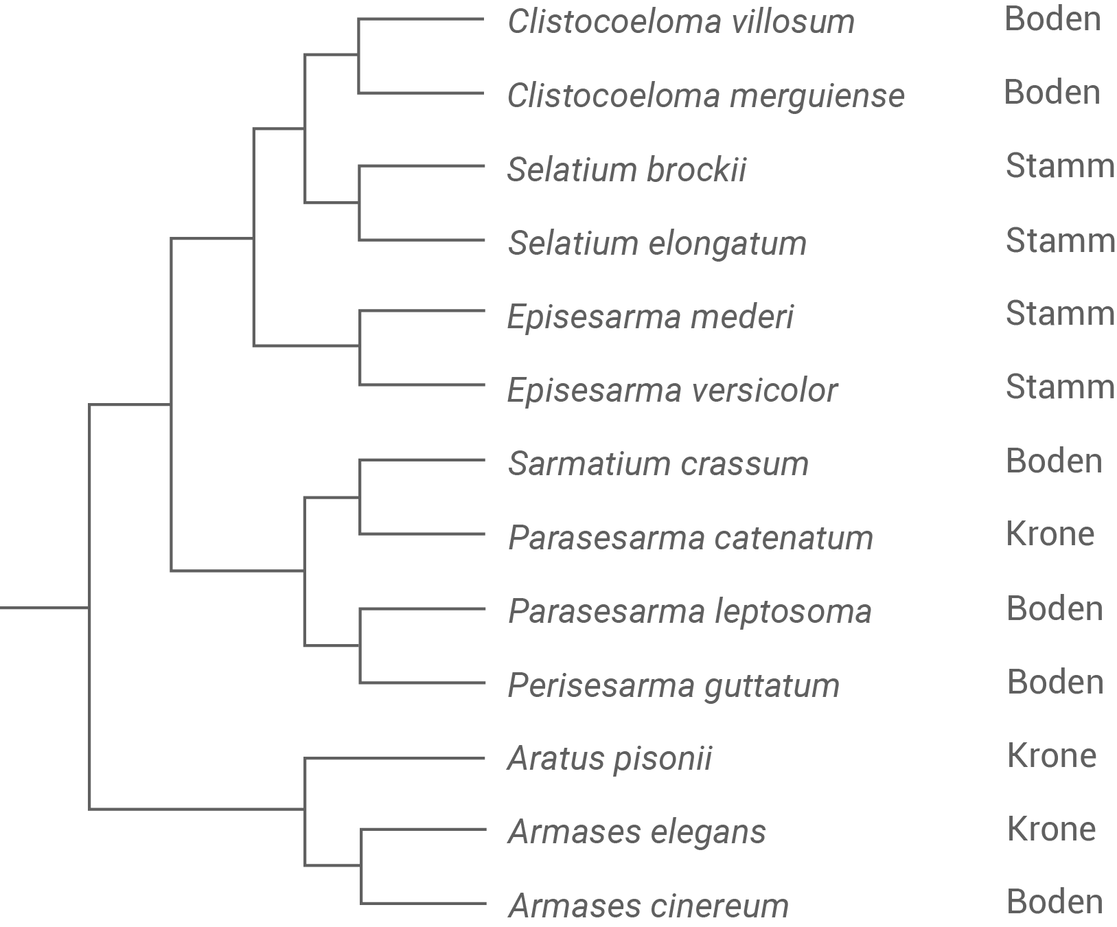 Diagramm von verschiedenen Arten mit ihren jeweiligen Lebensräumen.