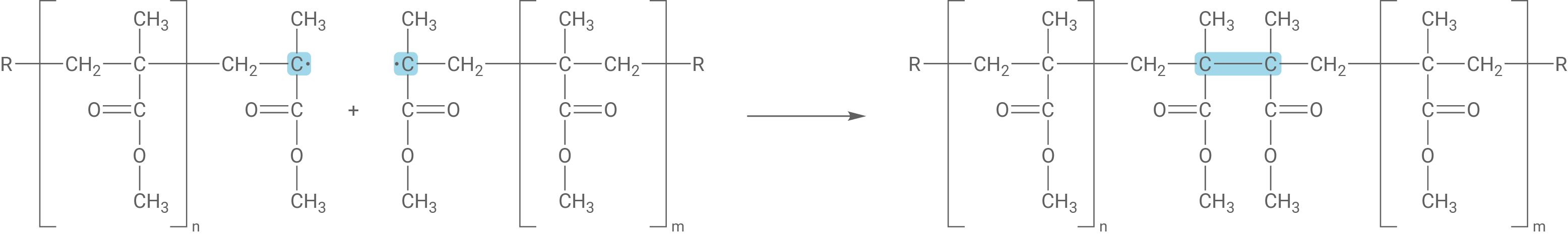 Radikalische Polymerisation Kettenabbruch MMA-Radikal und MMA-Radikal