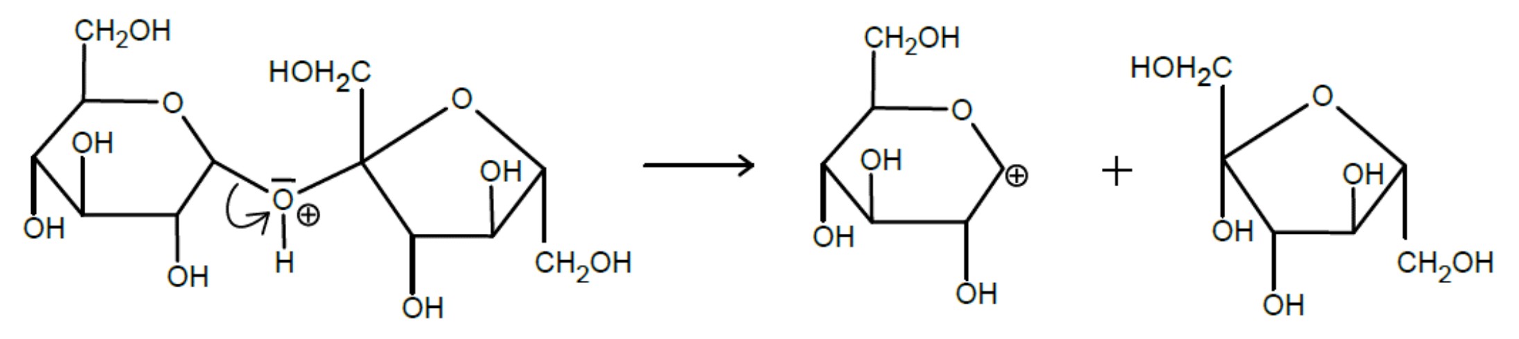 Schematische Darstellung: Säurekatalysierte Hydrolyse eines Disaccharids zu zwei Glucoseeinheiten