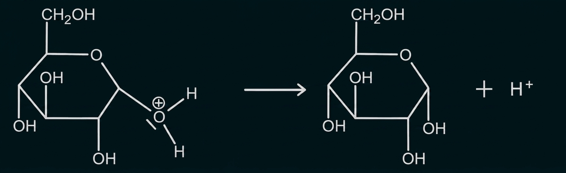Reaktionsschema: Protonierte Methylglykosid-Spaltung zu einer Zucker-Pyranose und H+