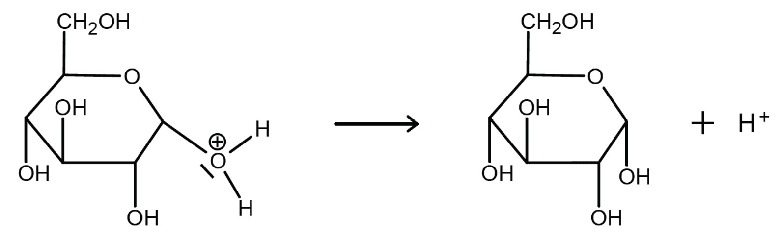 Reaktionsschema: Protonierte Methylglykosid-Spaltung zu einer Zucker-Pyranose und H+