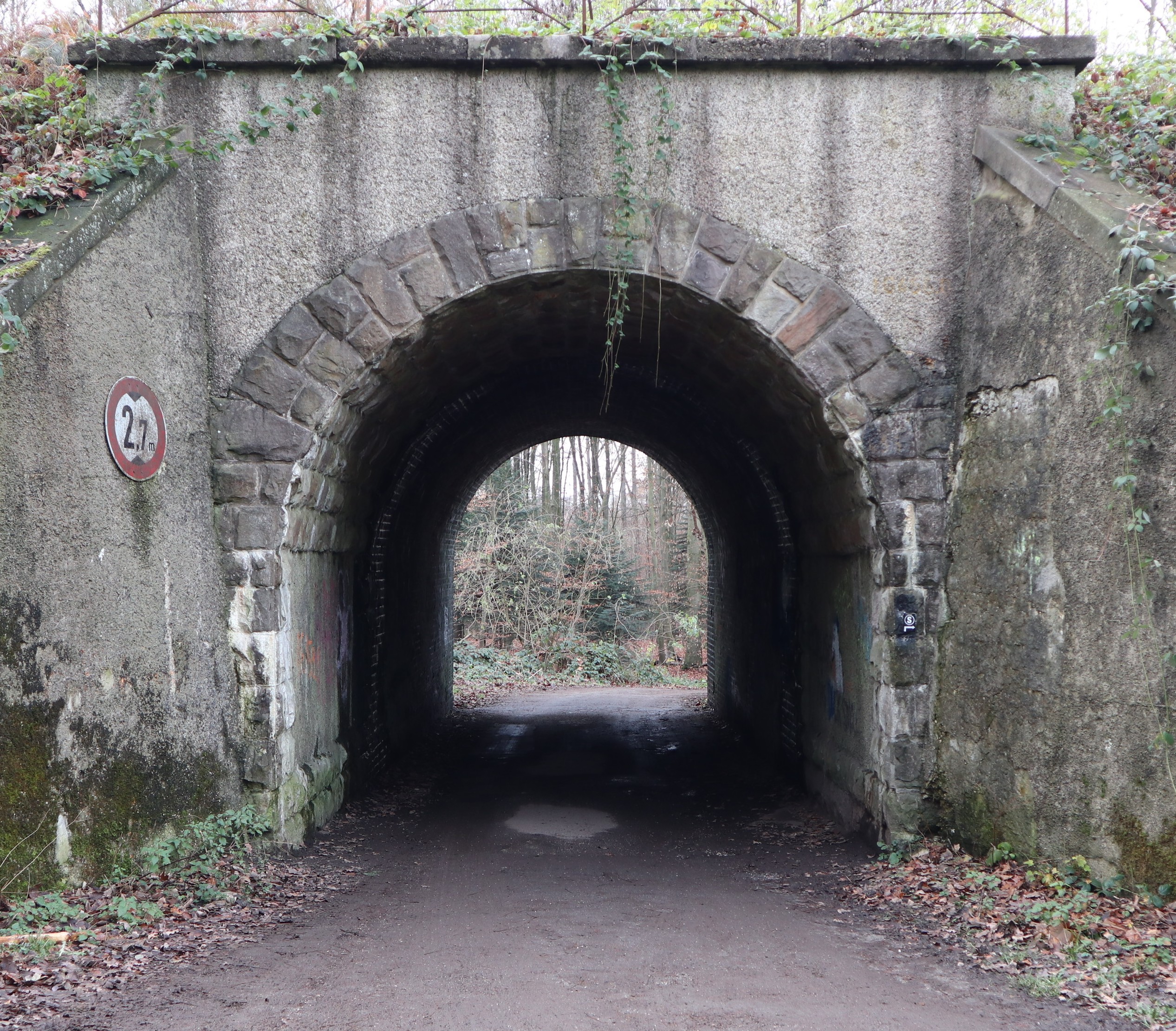 Steinerner Tunnel in einem Wald, dunkler Durchgang mit Blick auf Bäume am Ende