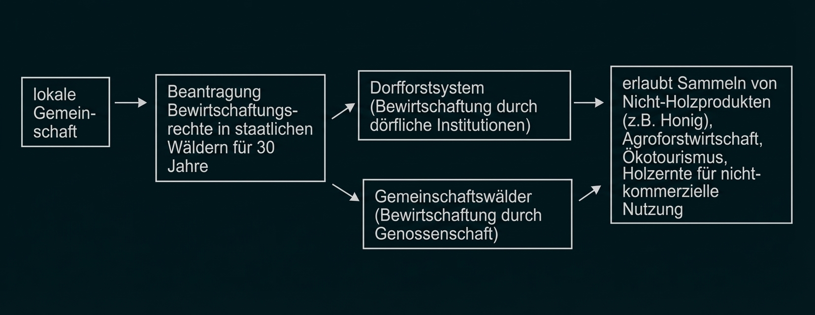 Diagramm: Lokale Gemeinschaft beantragt Bewirtschaftungsrechte, führt zu Dorfforstsyst. oder Gemeinschaftswäldern und Nutzung von Nicht‑Holzprodukten