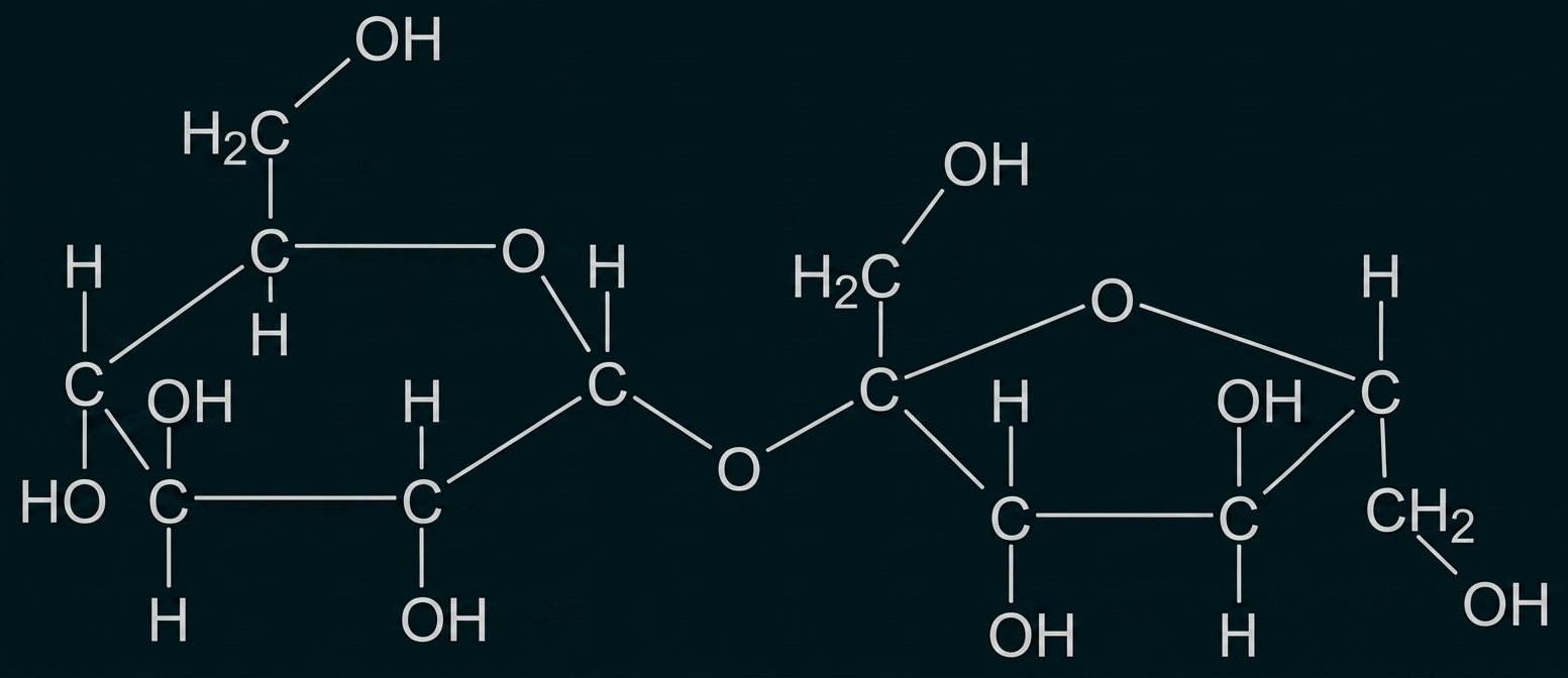 Strukturformel Saccharose