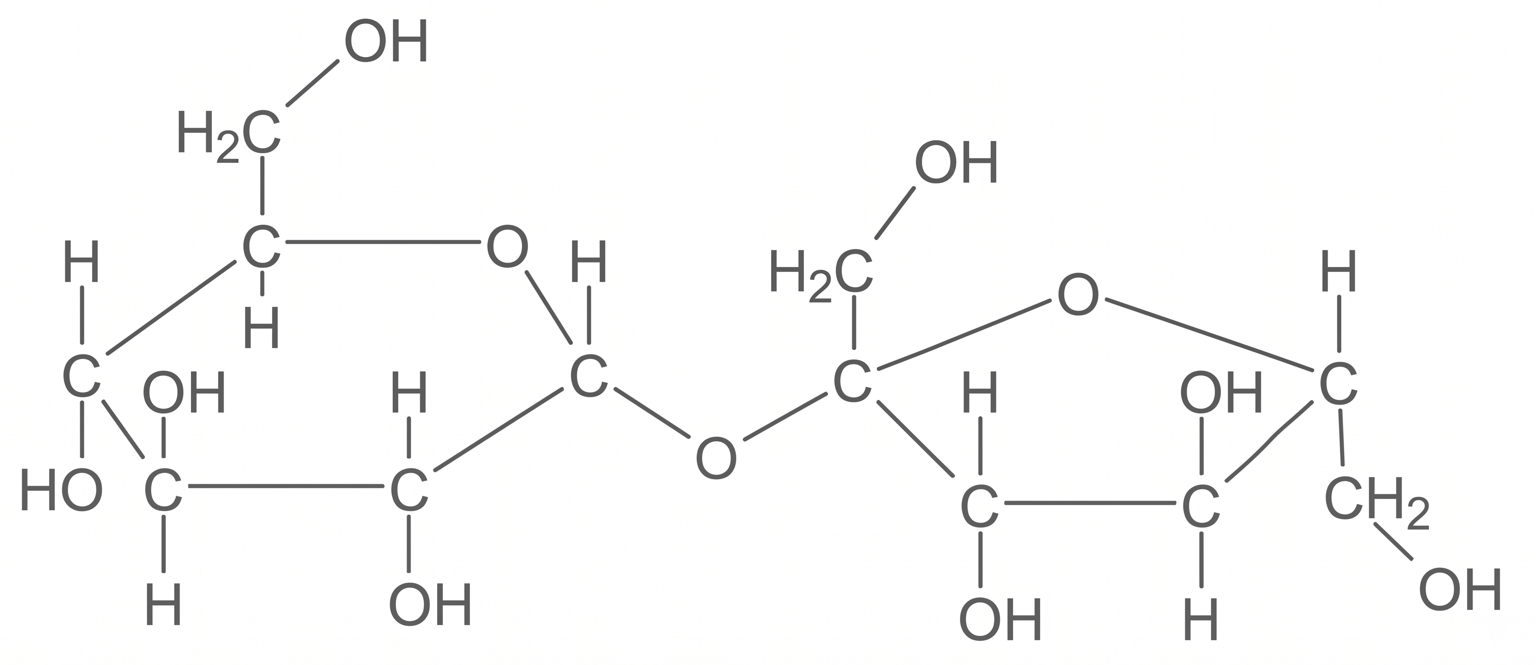 Strukturformel Saccharose