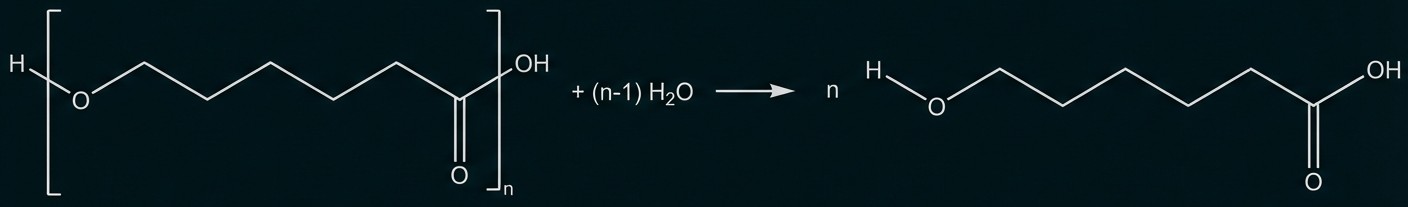Polyester Hydrolyse Reaktionsgleichung mit Strukturformeln