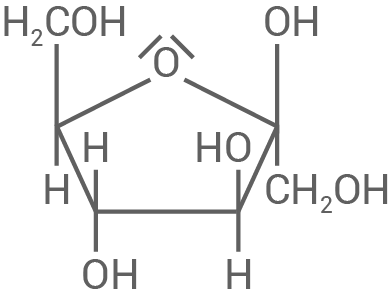 Molekülstruktur mit Hydroxylgruppen und Kohlenstoffatomen, dargestellt in chemischer Notation.