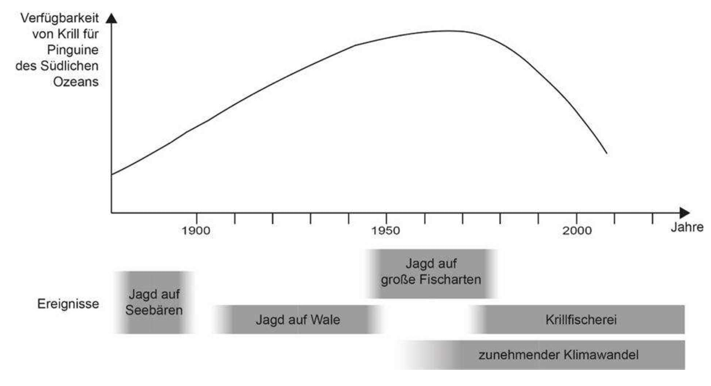Diagramm: Verfügbarkeit von Krill für Pinguine im Südlichen Ozean über Zeit, mit Ereignissen wie Robben-/Walfang, Fischerei und Klimawandel.