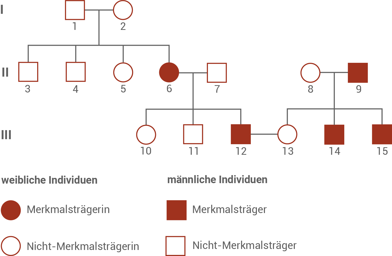 Stammbaum Achromatopsie