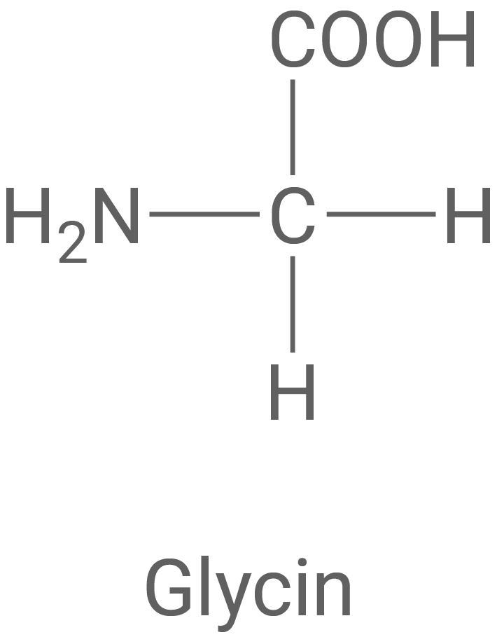 Fischer-Projektion Glycin