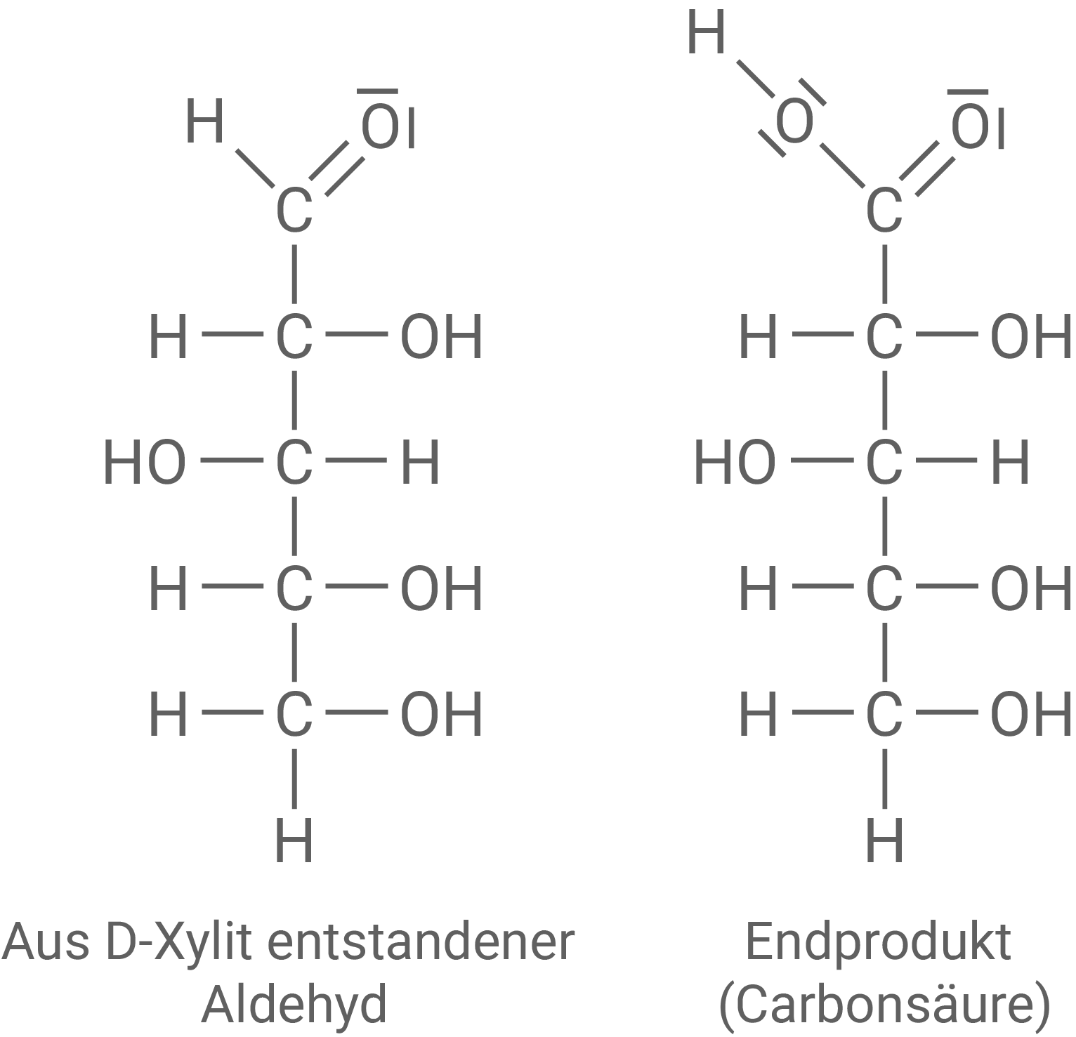 Fischer-Projektion des aus D-Xylit entstandenen Aldehyds und der Carbonsäure