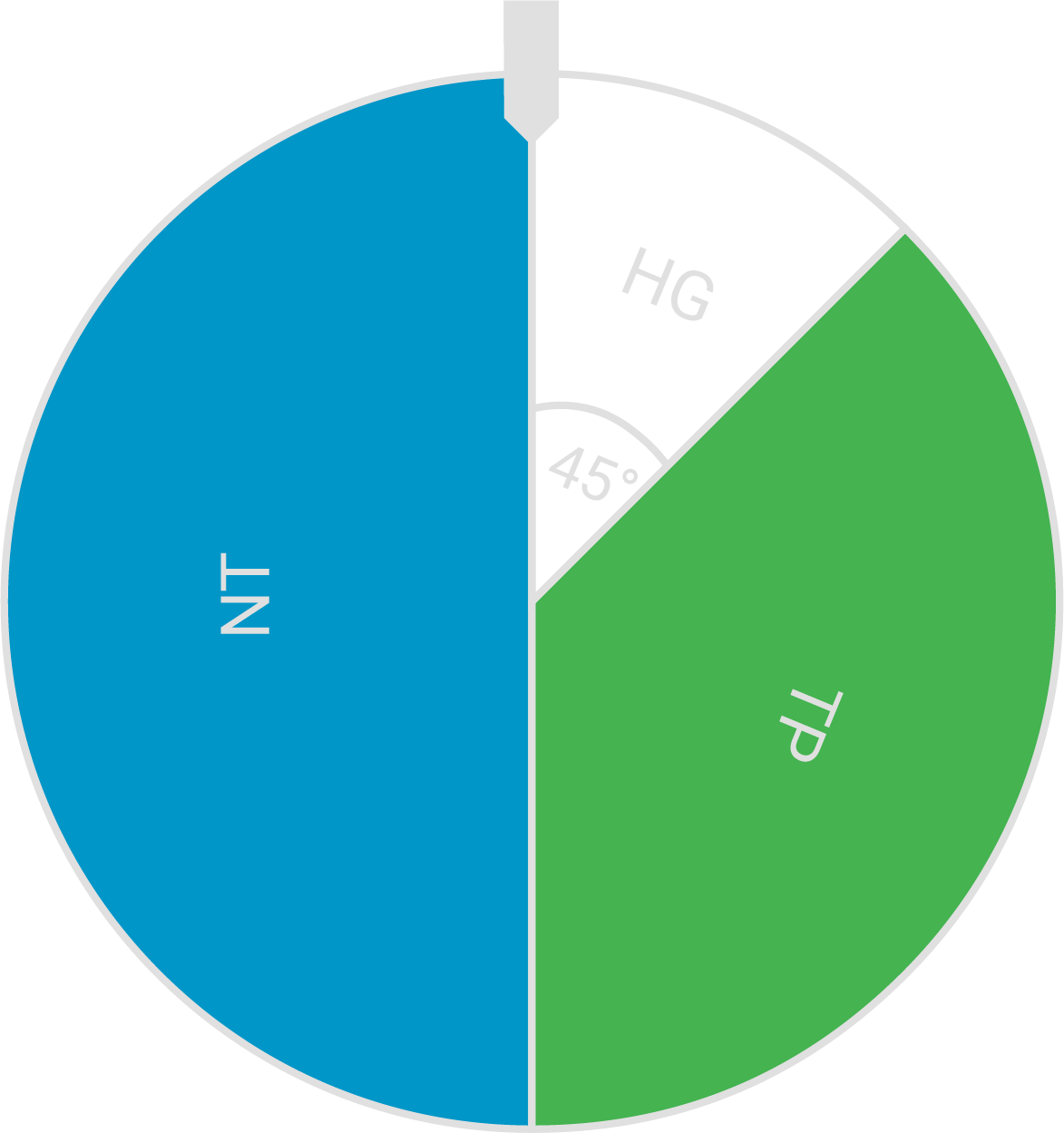 Kreisdiagramm: großer blauer Sektor (NT), großer grüner Sektor (TR) und kleiner weißer Sektor (HG, 45°) mit Markierung oben.