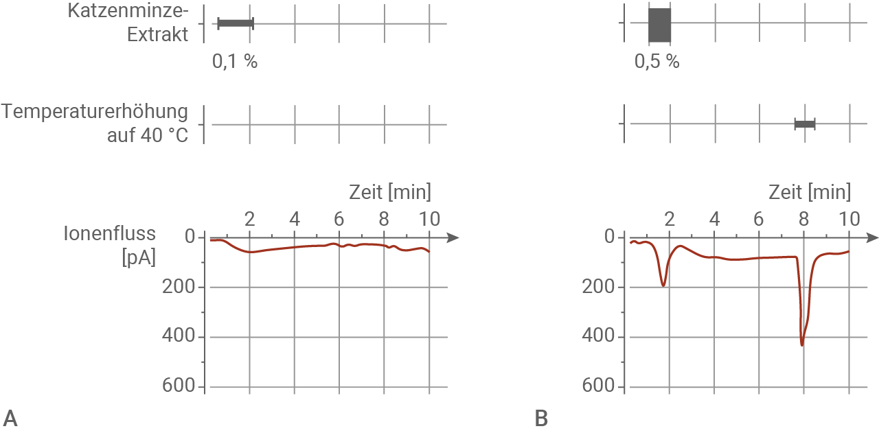 Diagramm zu Katzensminze-Extrakt, Temperaturerhöhung und Ionenfluss über Zeit.