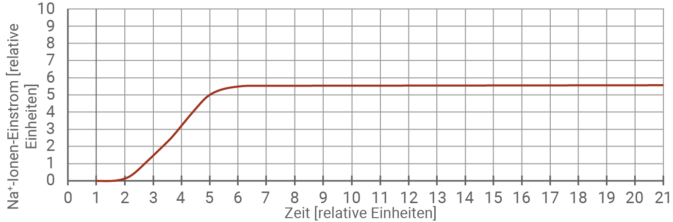 Wirkung an einer Synapse mit alpha - Natx Zugabe der Toxine