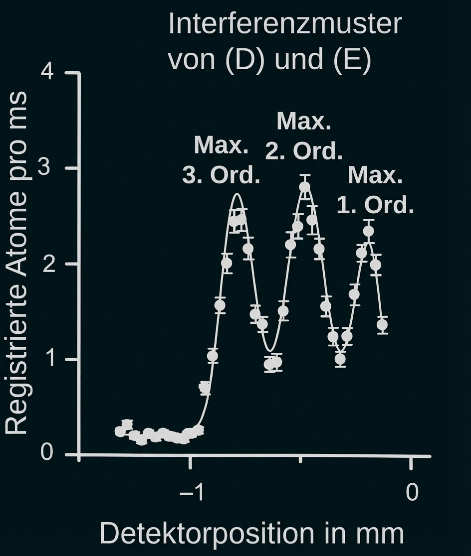 Interferenzmuster von (D) und (E): Messpunkte und Kurve mit drei Maxima; Achsen: Detektorposition (mm) und registrierte Atome/ms.