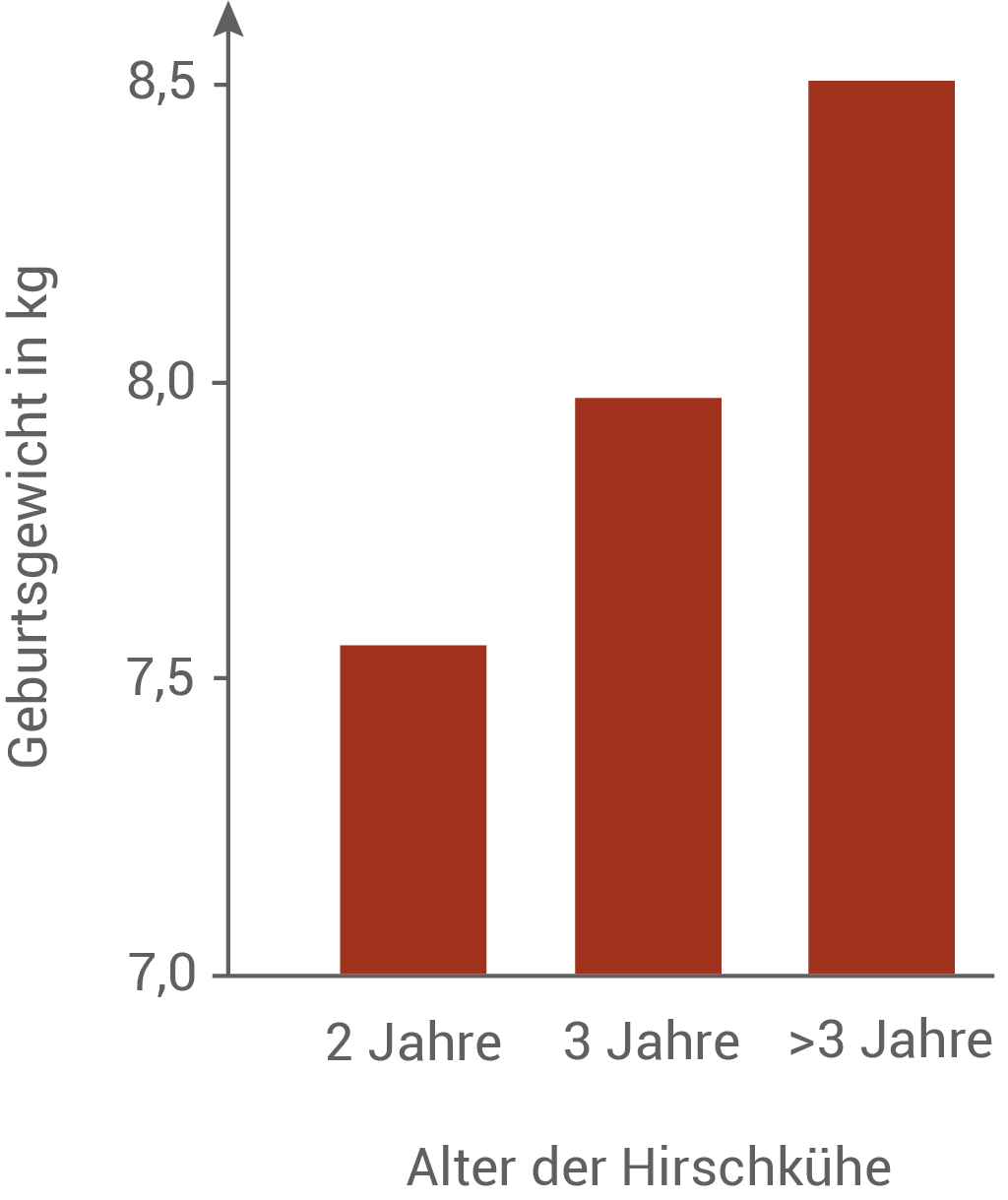 Balkendiagramm zeigt das Geburtsgewicht von Hirschkühen in kg nach Alter.
