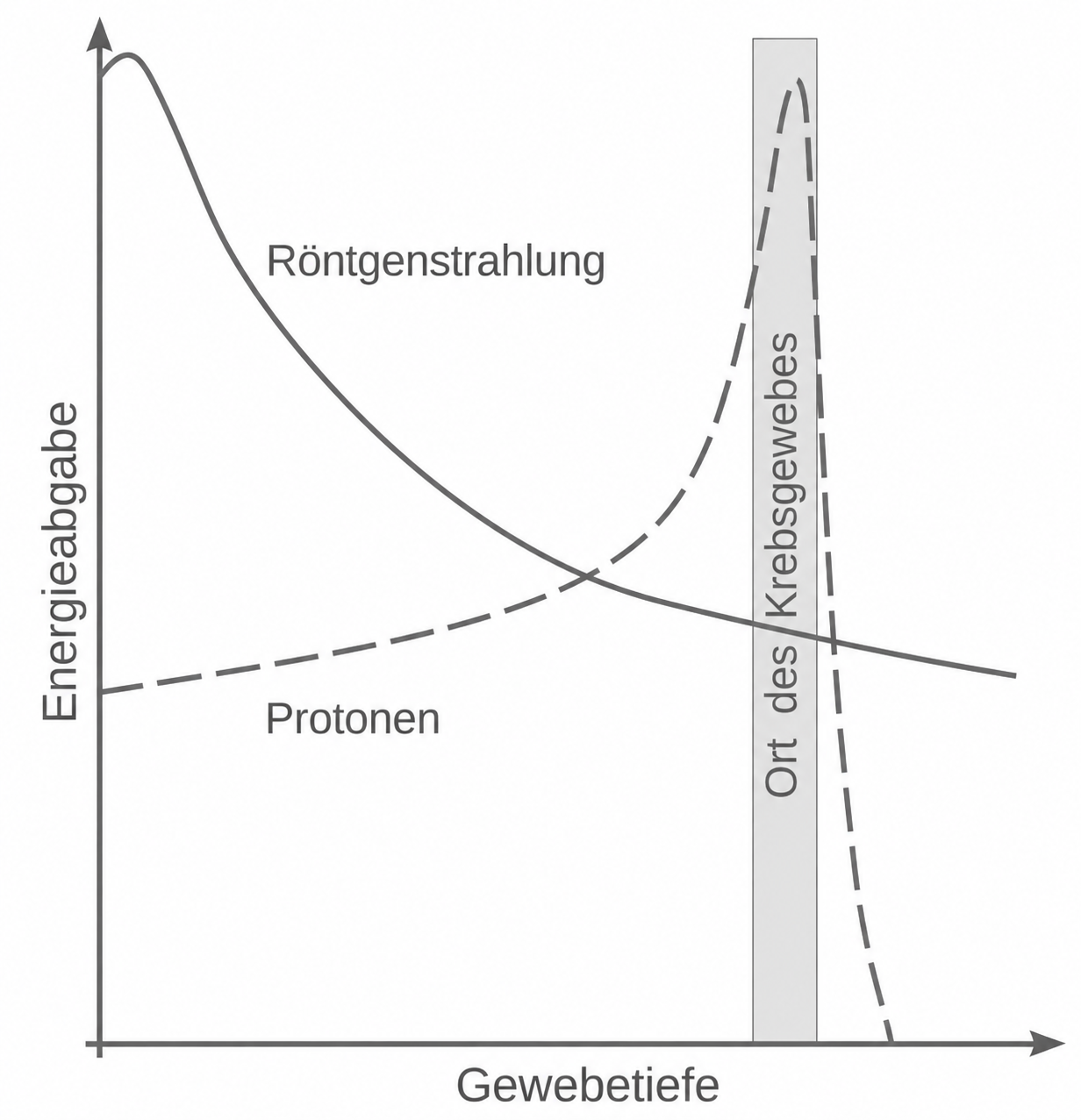 Diagramm zu Röntgenstrahlung und Protonen in Gewebetiefe, mit Krebsgewebe markiert