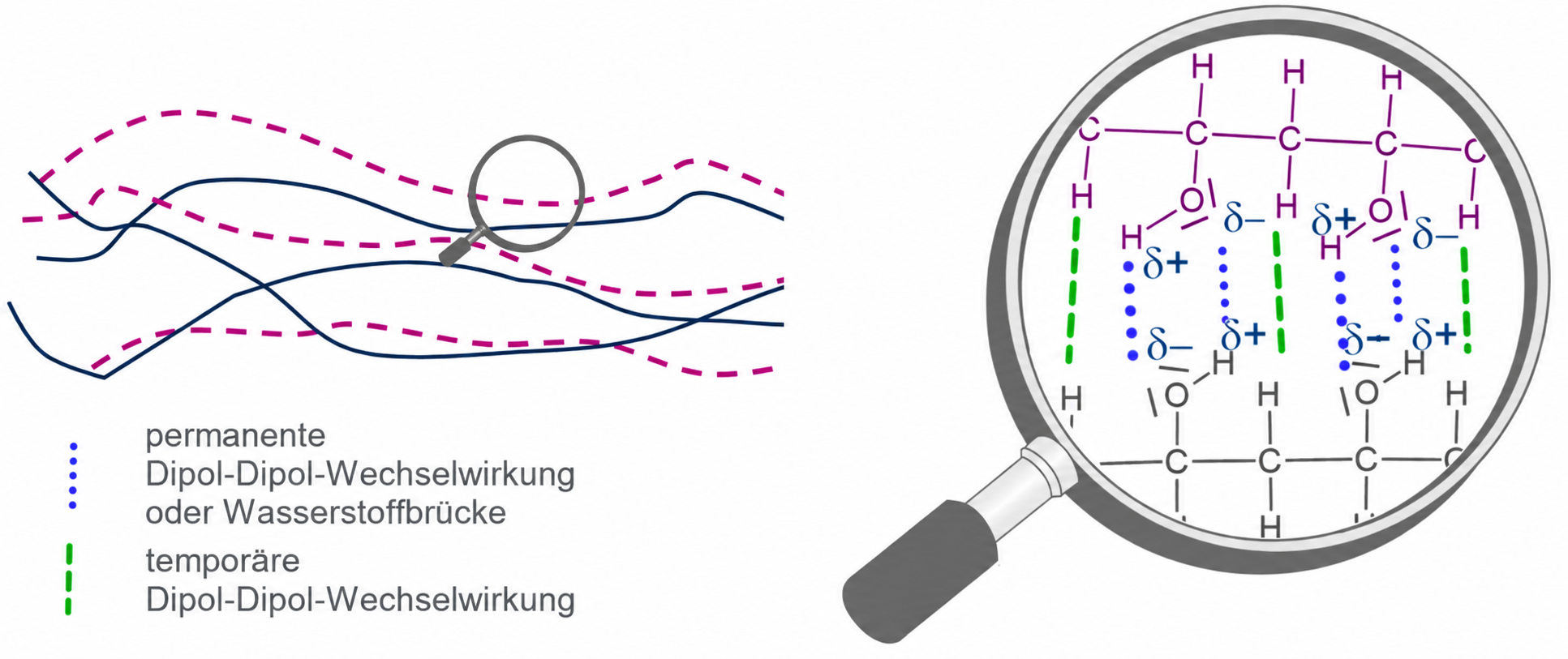 Schematische Darstellung von Dipol-Dipol-Wechselwirkungen in einem Molekül mit Lupe und Markierungen.