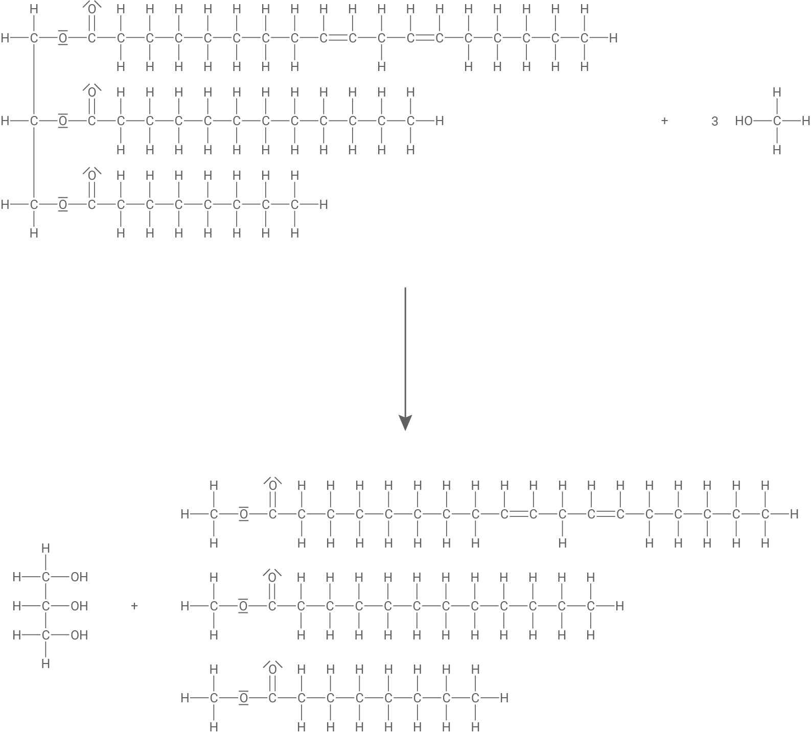 Umesterung Triglycerid mit Methanol