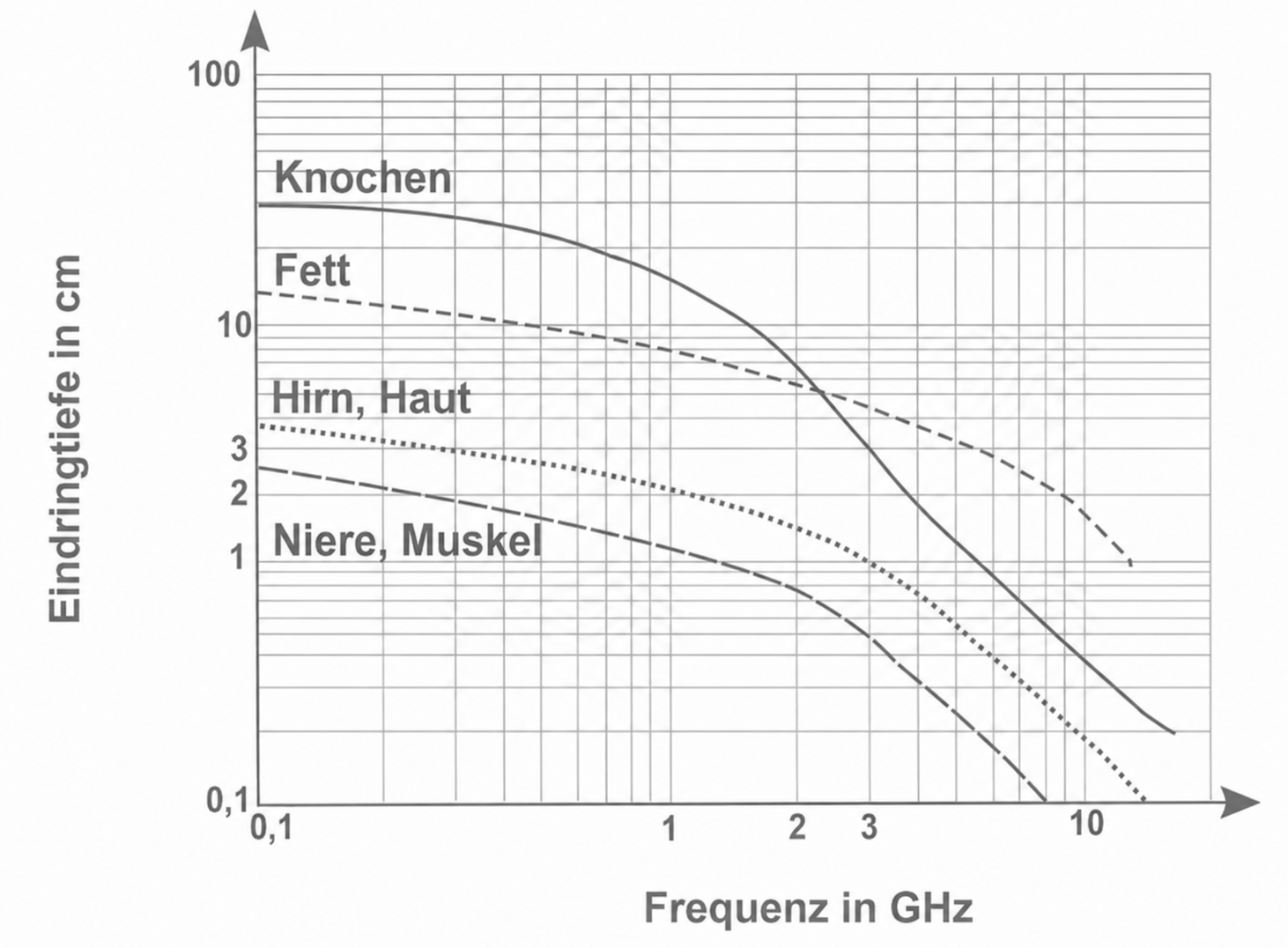 Diagramm: Eindringtiefe in cm gegen Frequenz in GHz mit Kurven für Knochen, Fett, Hirn/Haut und Niere/Muskel.