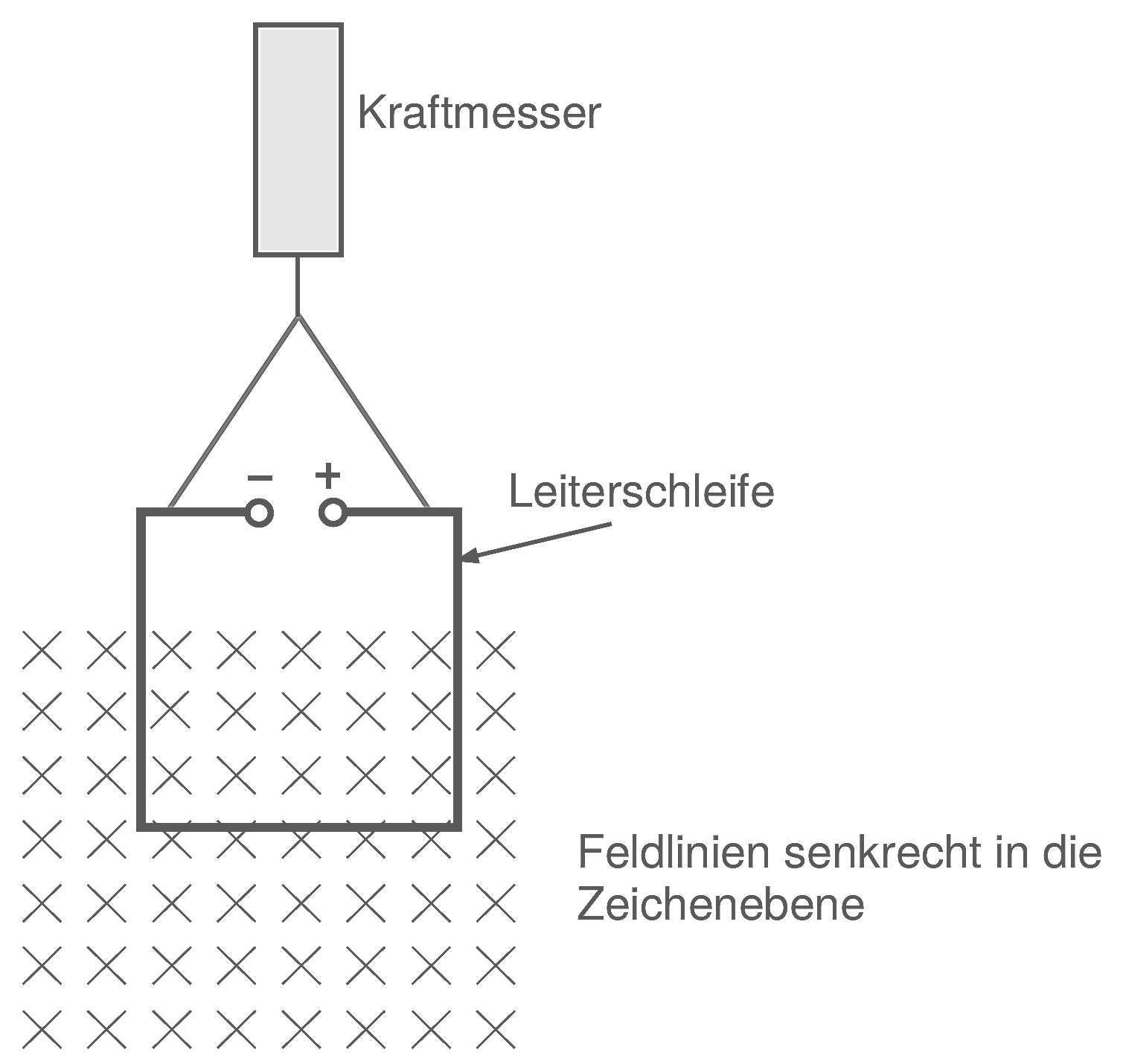 Quadratische Leiterschleife mit Anschlüssen (Minus- und Pluspol), die an einem Kraftmesser hängt. Der untere Teil der Leiterschleife befindet sich in einem homogenen Magnetfeld, dessen Feldlinien senkrecht in die Zeichenebene zeigen (Kreuze).