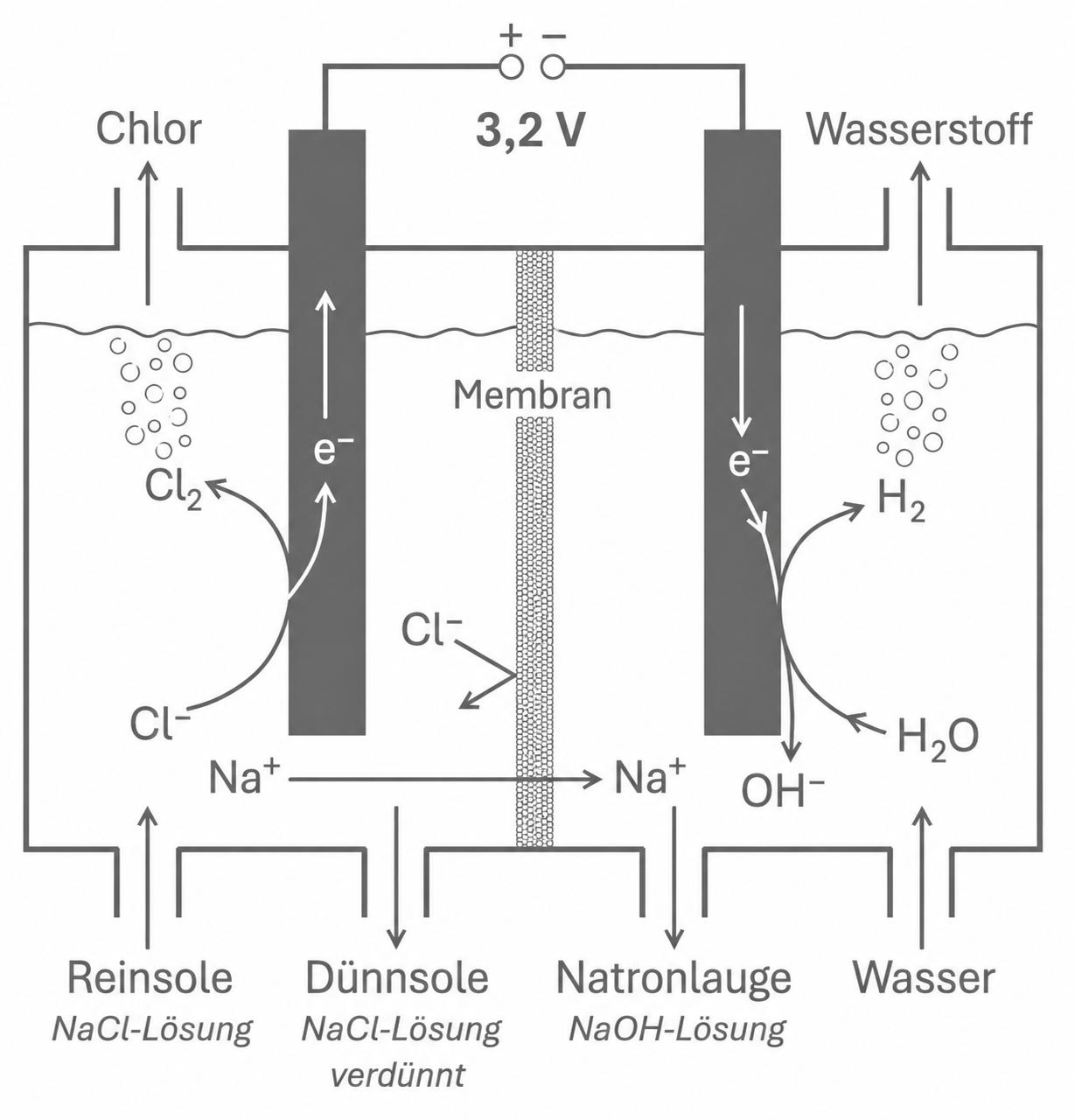 Schema der Chloralkali-Elektrolyse mit Membran, Chlor-, Wasserstoff- und Natronlauge-Bildung