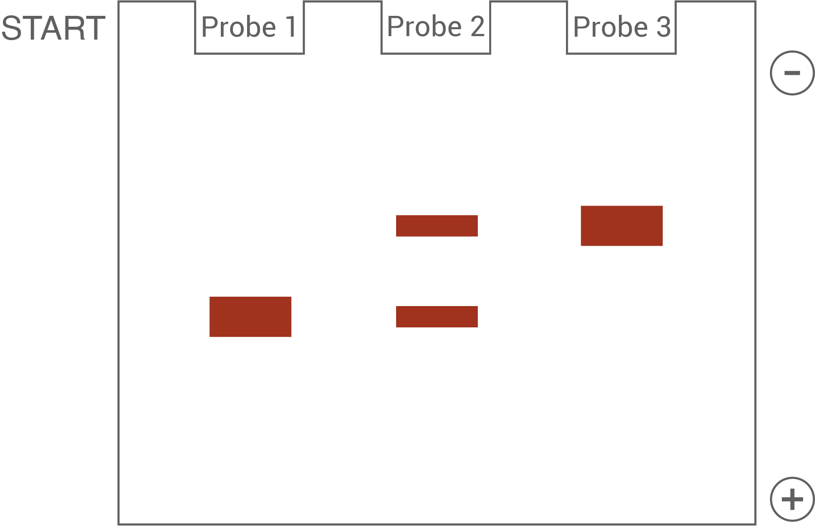 Gelelektrophorese