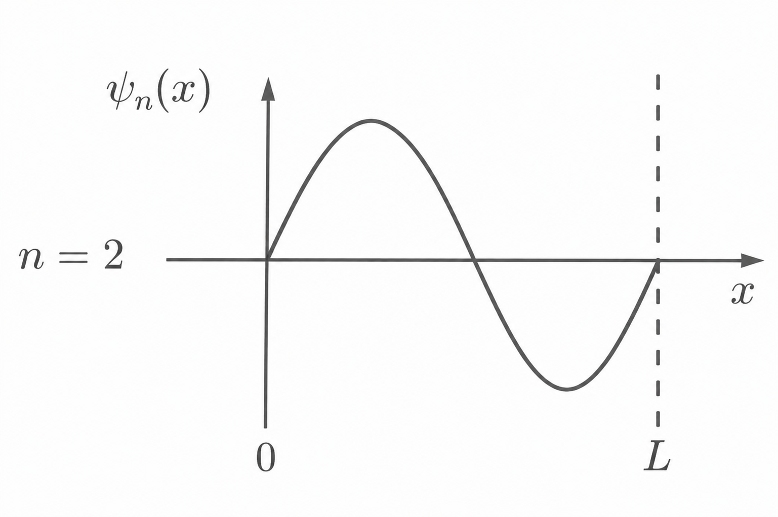 Plot einer Wellenfunktion ψ_n(x) für n=2, mit positiver Spitze und negativem Minimum, Achsen und gestrichelter Linie bei x=L.