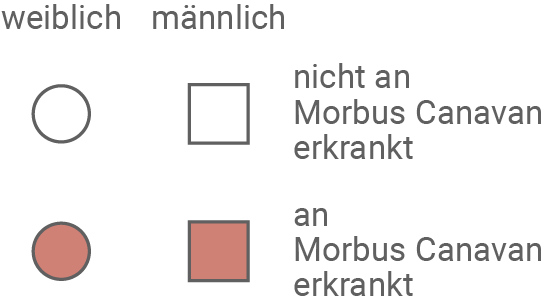 Legende: Kreis = weiblich, Quadrat = männlich; rot gefüllt = an Morbus Canavan erkrankt, offen = nicht erkrankt