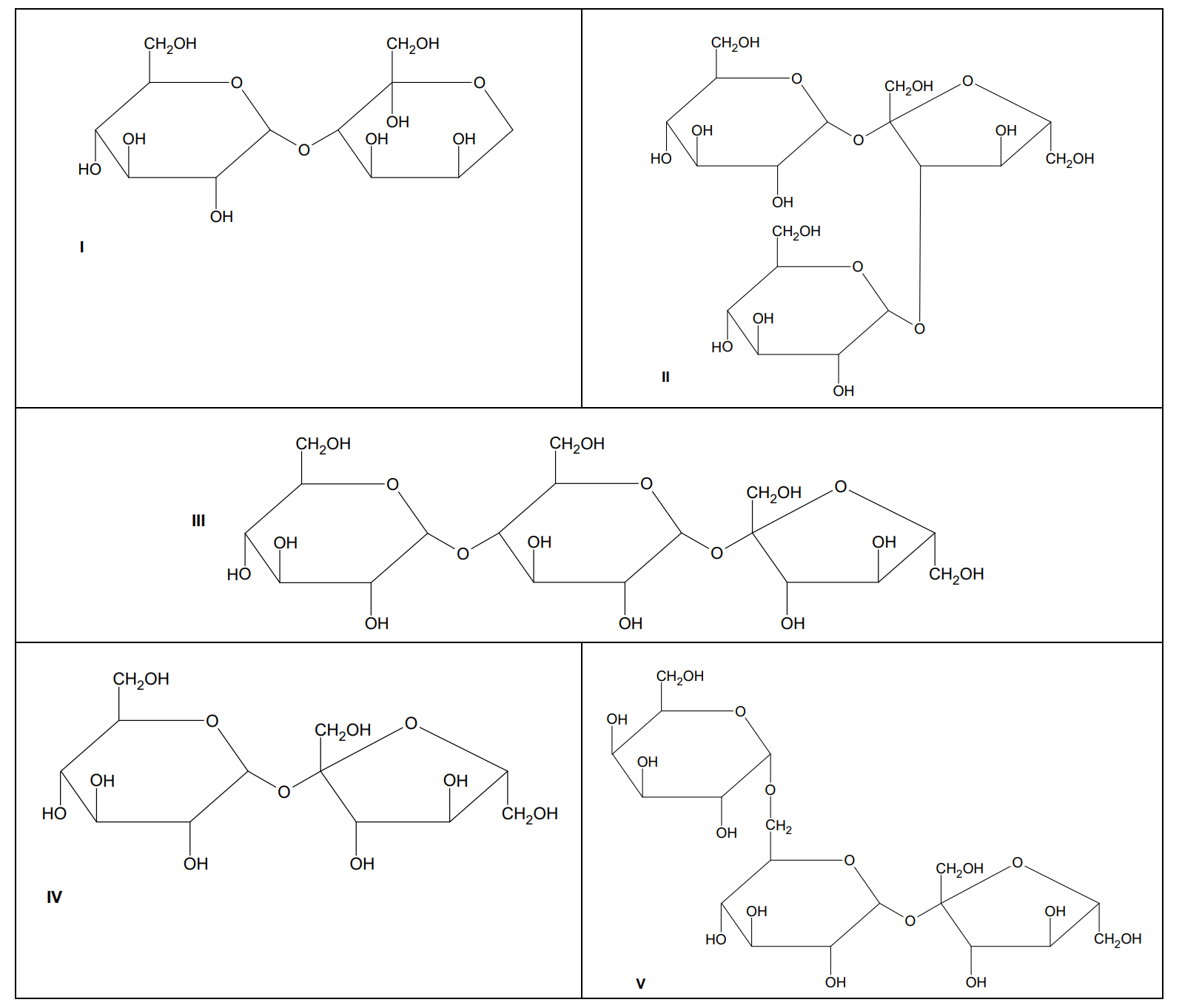 Diagramm mehrerer ringförmiger Zuckermoleküle in Kästchen, verschiedene Strukturformeln beschriftet I–V