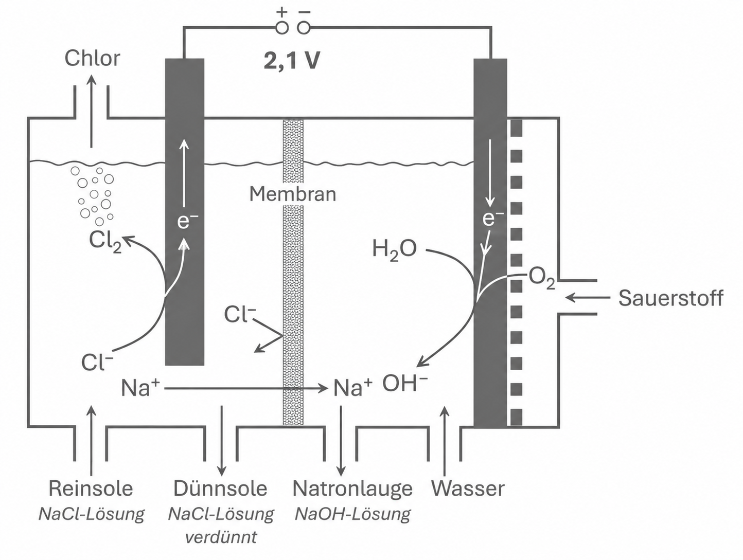 Schema der Chloralkali-Elektrolyse mit Membran, Chlor-, Wasserstoff- und Sauerstoffbildung.