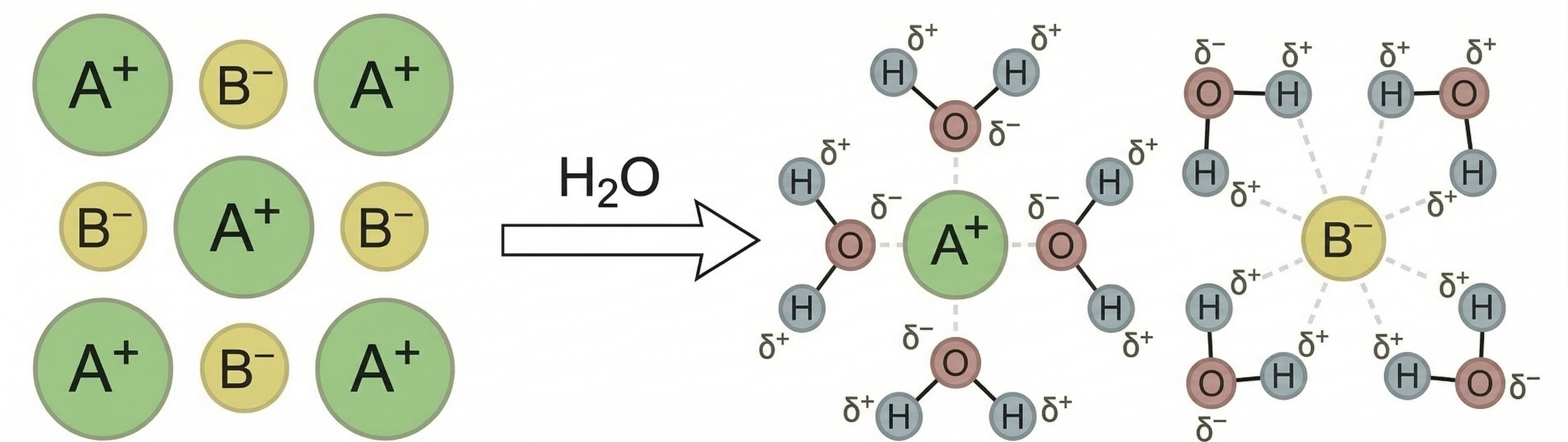 Skizze Lösungsvorgang eines Ionengitters in hydratisierte Ionen