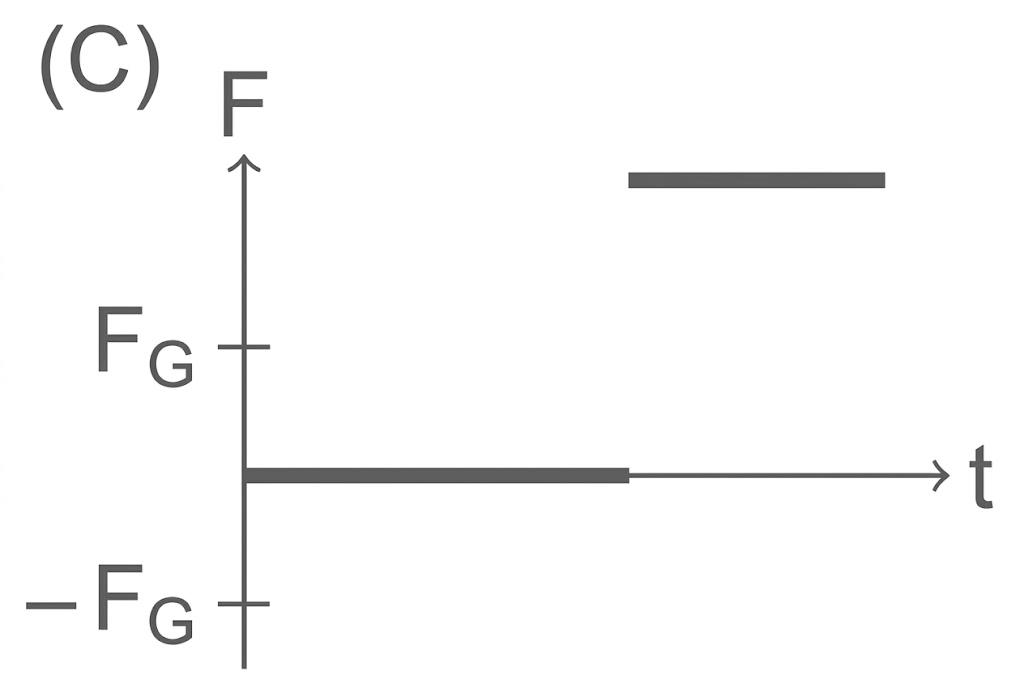 Diagramm: Kraft F gegen Zeit t, y-Achse mit F_G und -F_G, langer Balken bei F_G und ein erhöhter Balken rechts oben