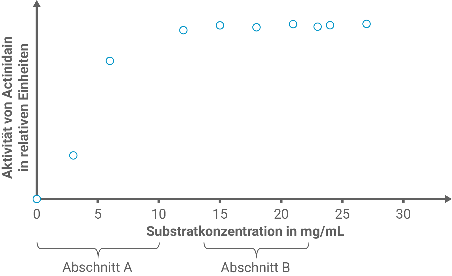 Diagramm Abhängigkeit der Actinidain-Aktivität von der Substratkonzentration