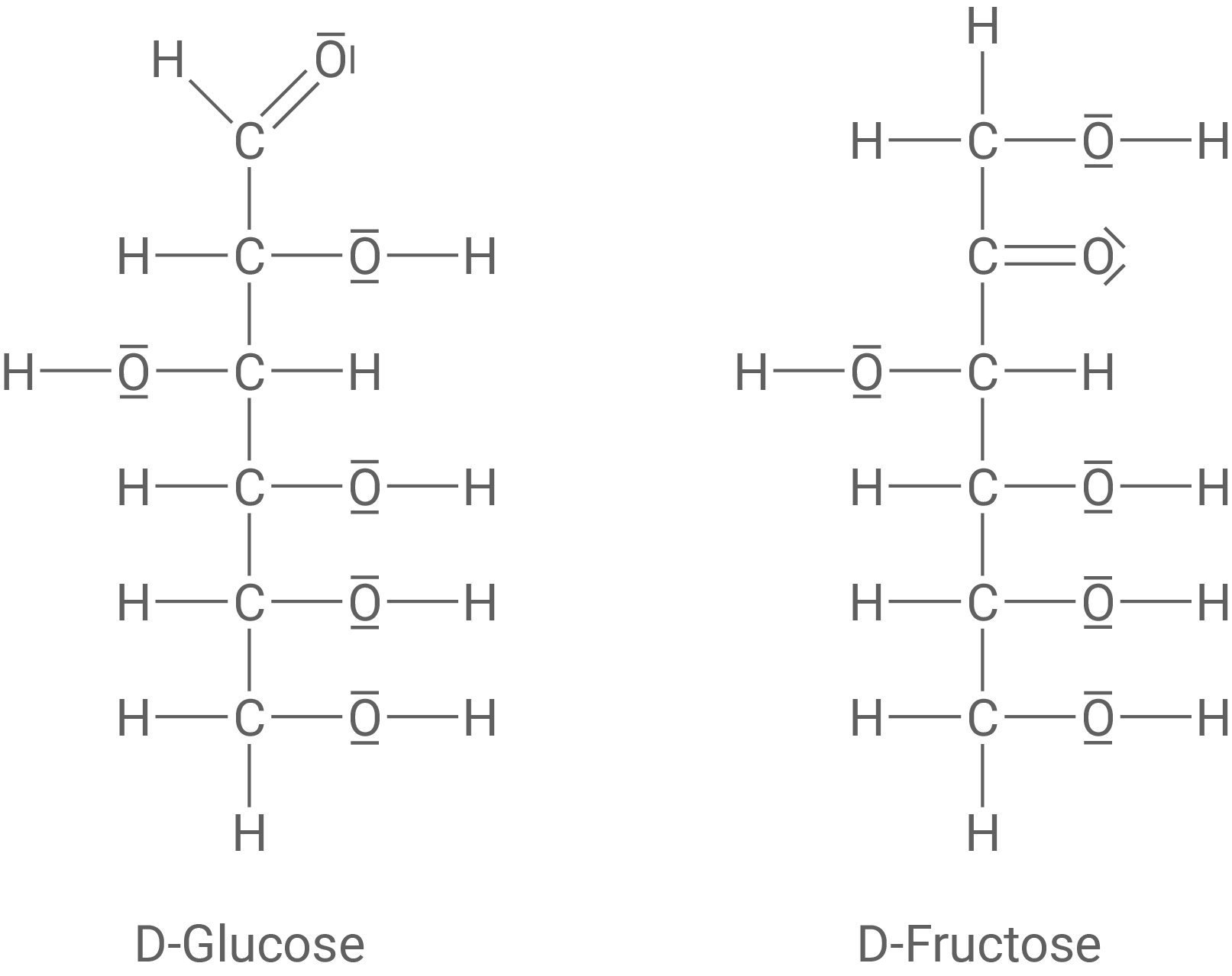 Fischer-Projektion D-Glucose und D-Fructose