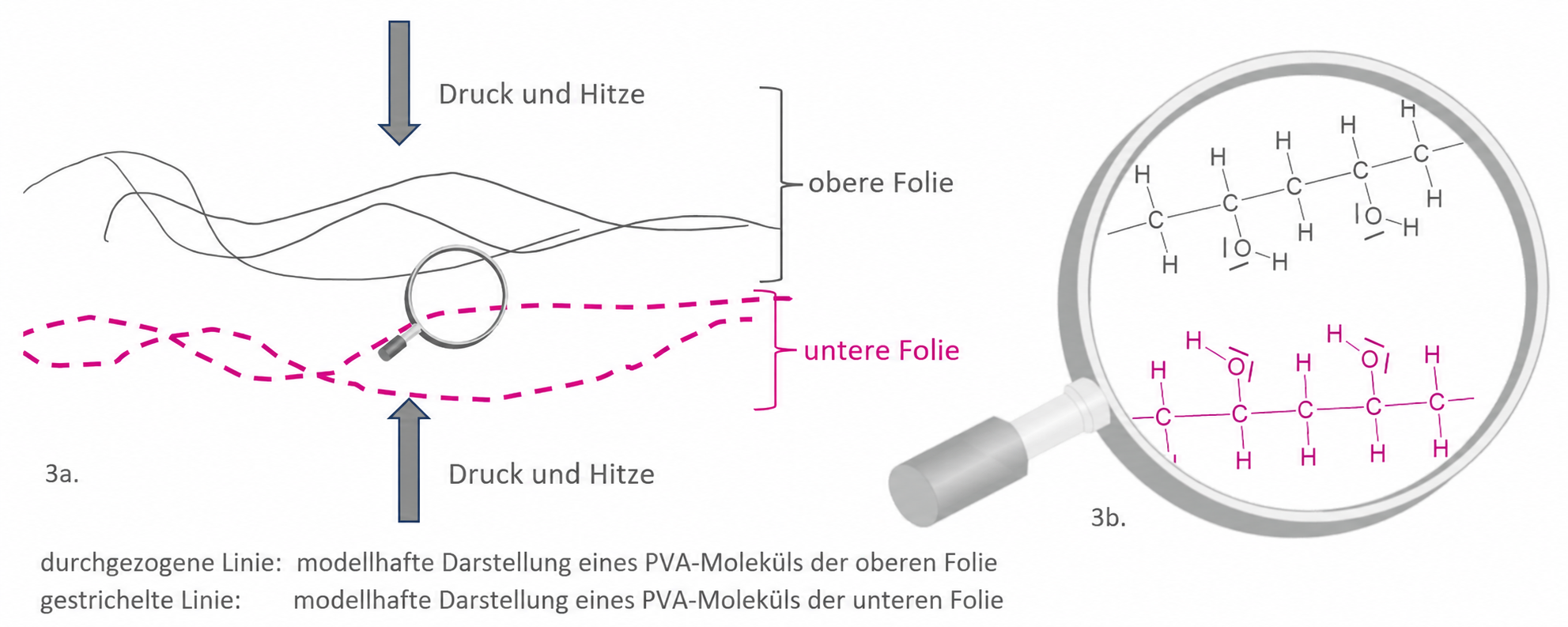 Schema von PVA-Folien unter Druck und Hitze mit Molekülstruktur im Lupenausschnitt