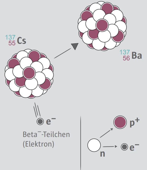Illustration des Beta-Minus-Zerfalls: Cs-137 wird zu Ba-137, ein Elektron wird ausgesendet.